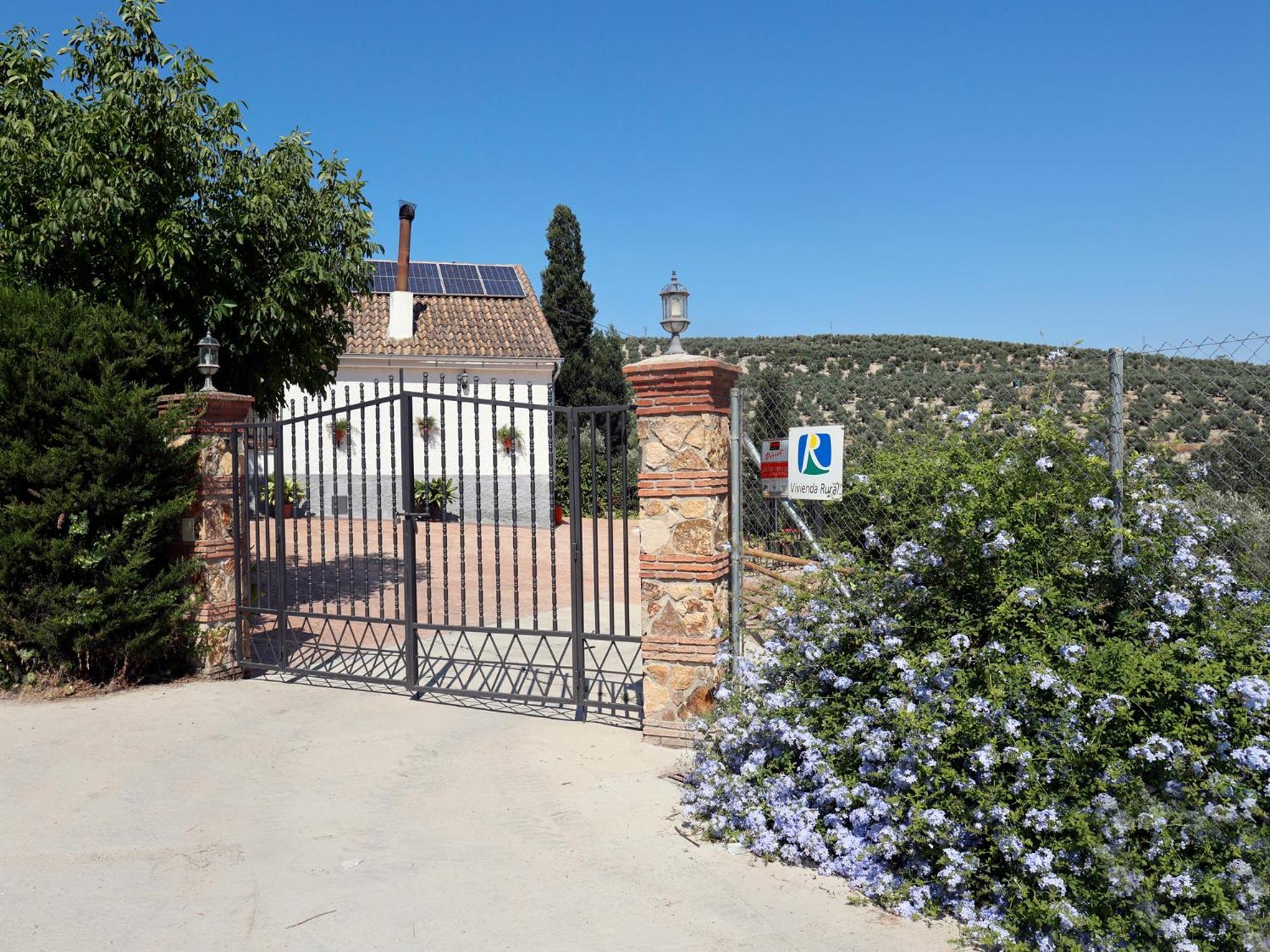 La Luz De